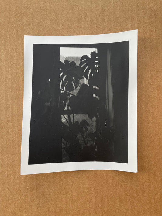 window darkroom print